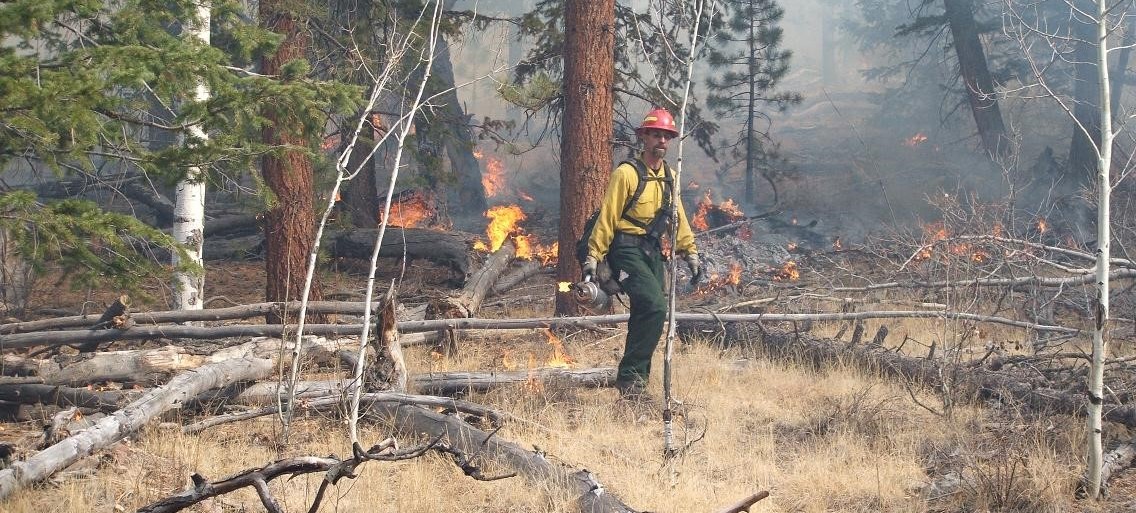 Utah Smoke Management System